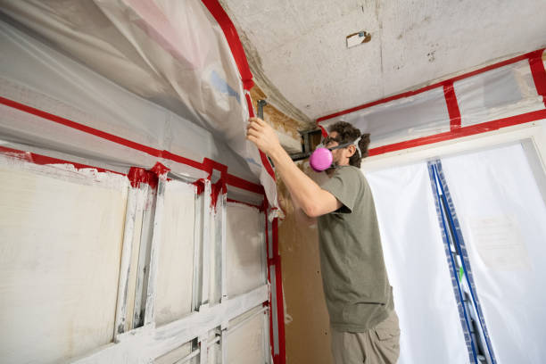 Ranchettes, WY Mold Removal Company