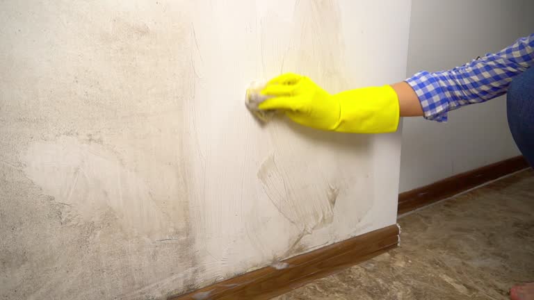 Best Mold Odor Removal Services  in Ranchettes, WY